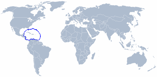 wereldkaart Antillipecten antillarum